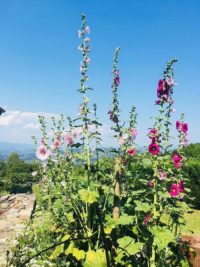 Ferme De La Cochette Guest House Montcel